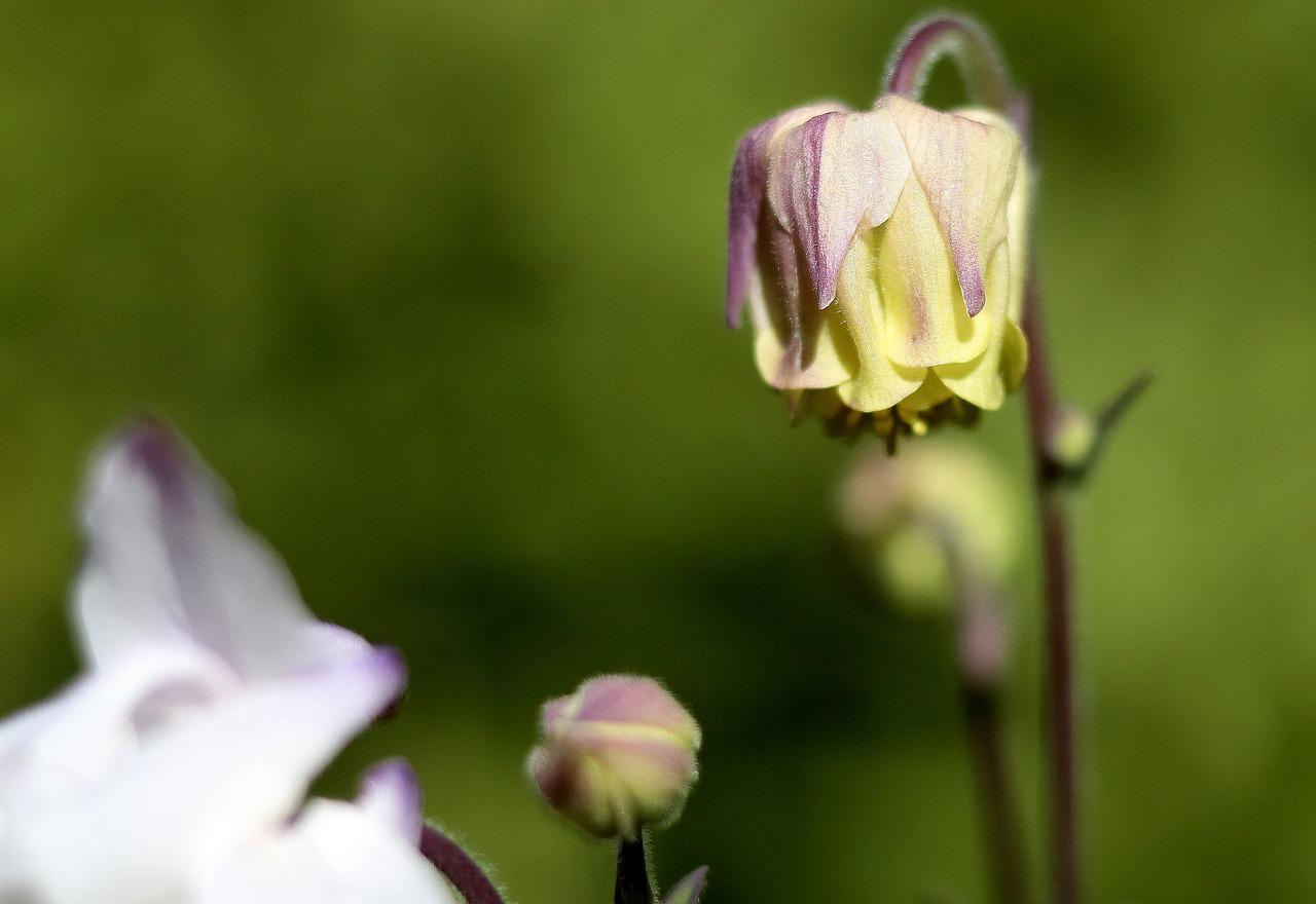 学位房投资价值