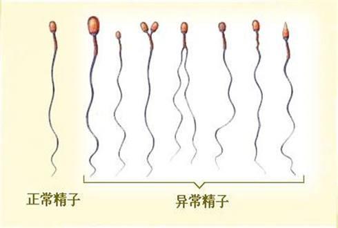 zhuanlan.zhihu.com