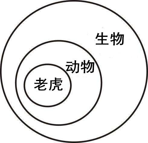 神奇的三段论;向普通人敞开大门的象牙塔;公理化方法的局限性