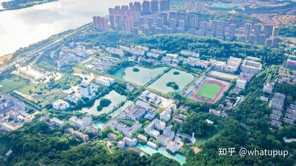 农大金山学院图片