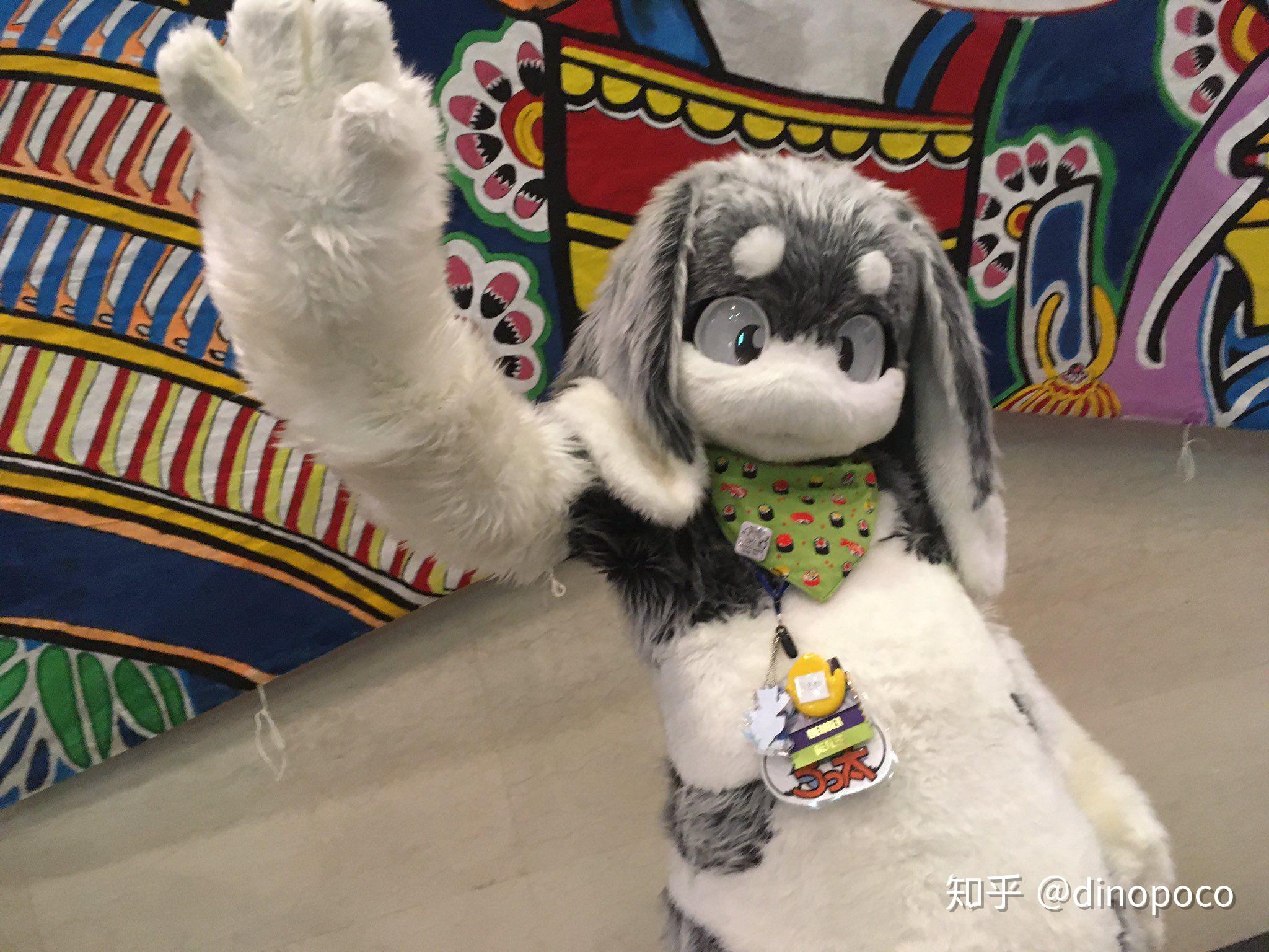 求一些可爱的兔子兽装图片