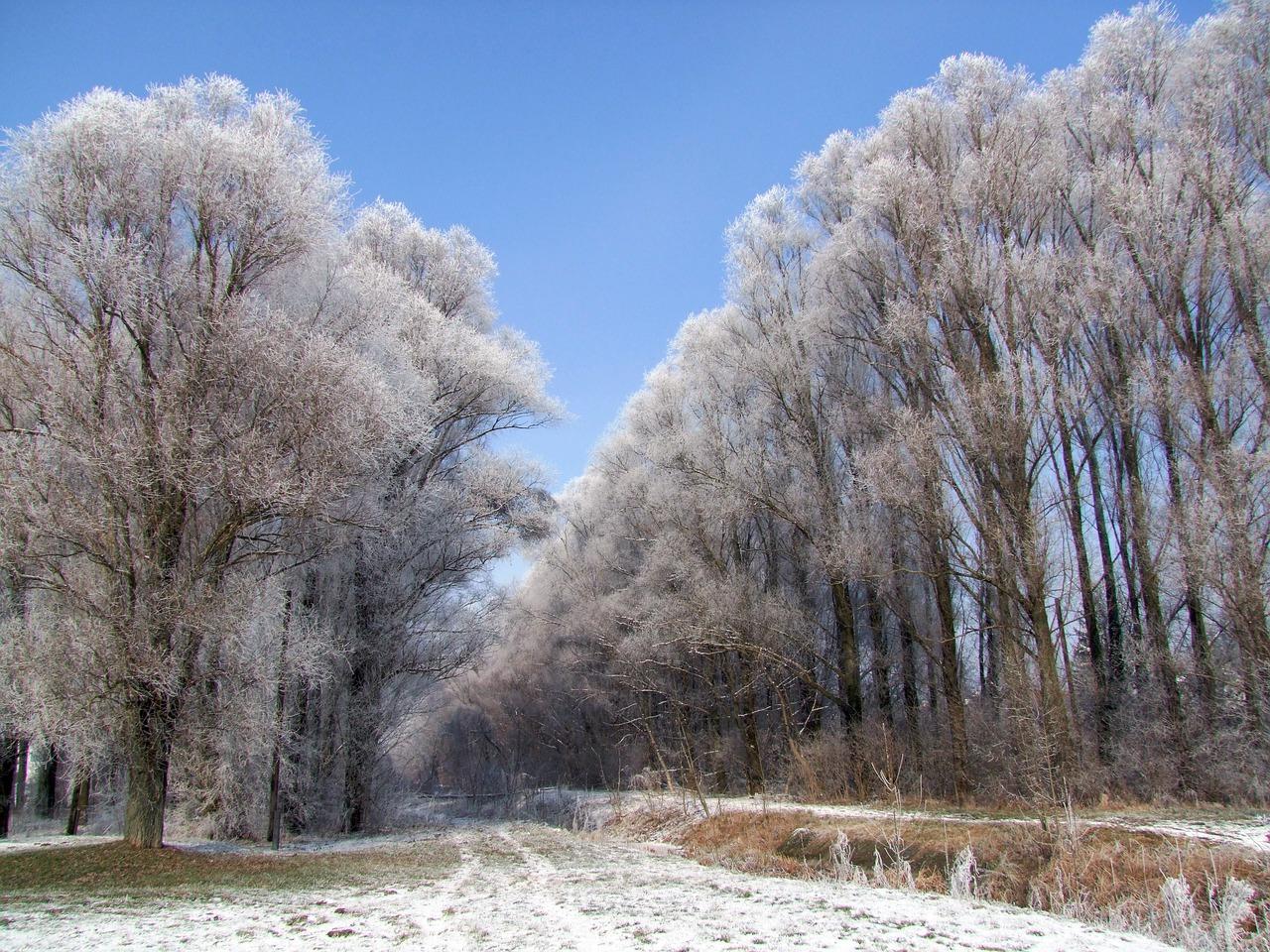4. 冬季湿度过低