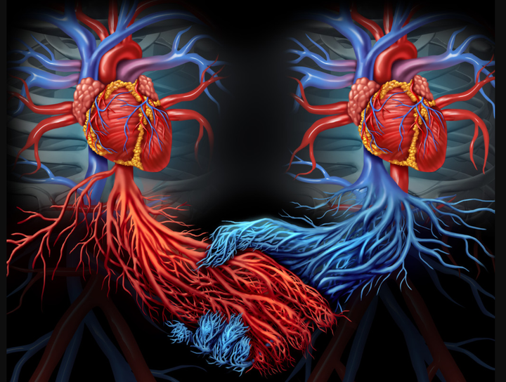 移植科推荐书籍书单,移植科医师必备经典 知乎
