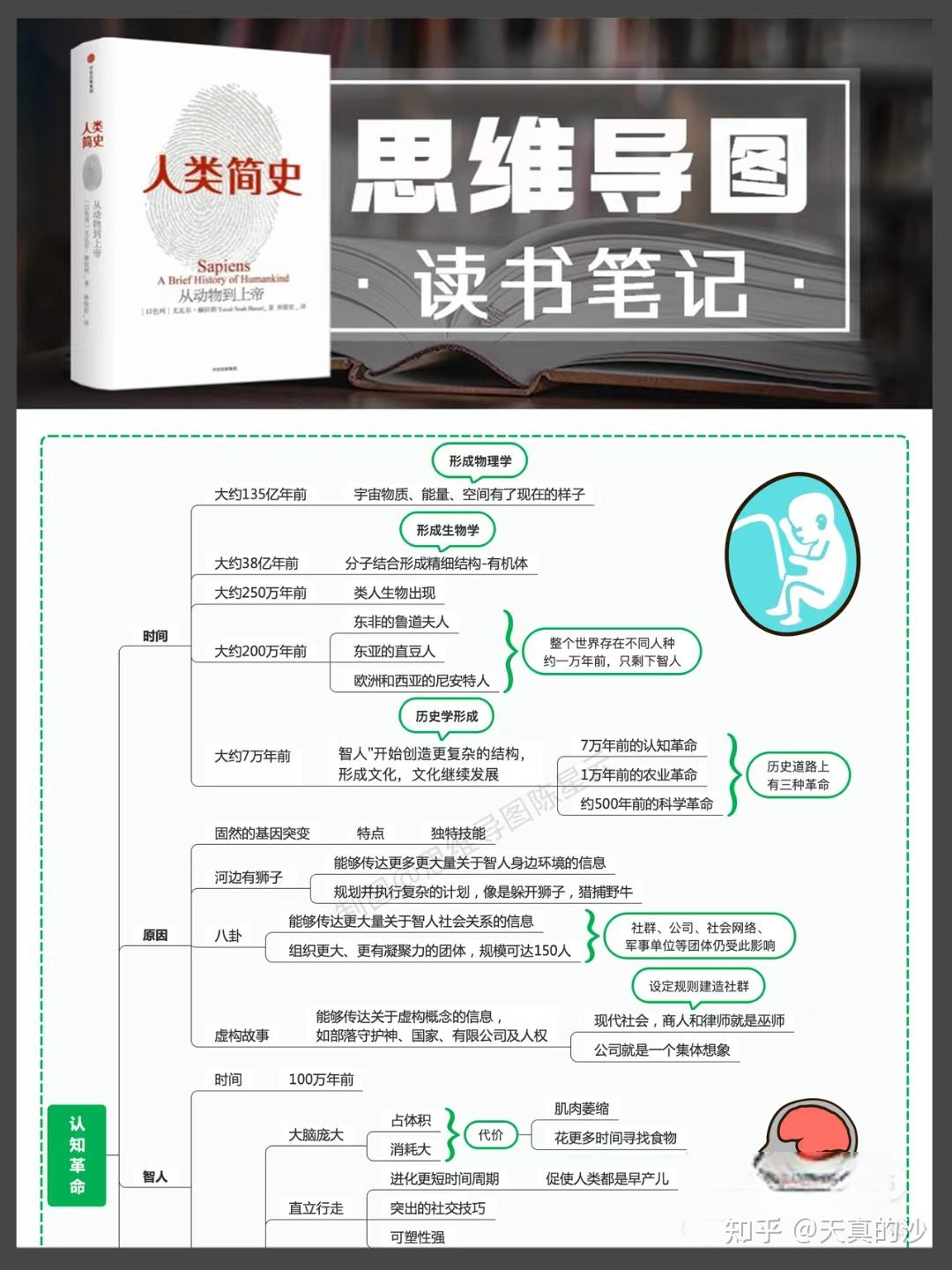 求《人类简史》书附的思维导图电子版,书自带的16开的那种?