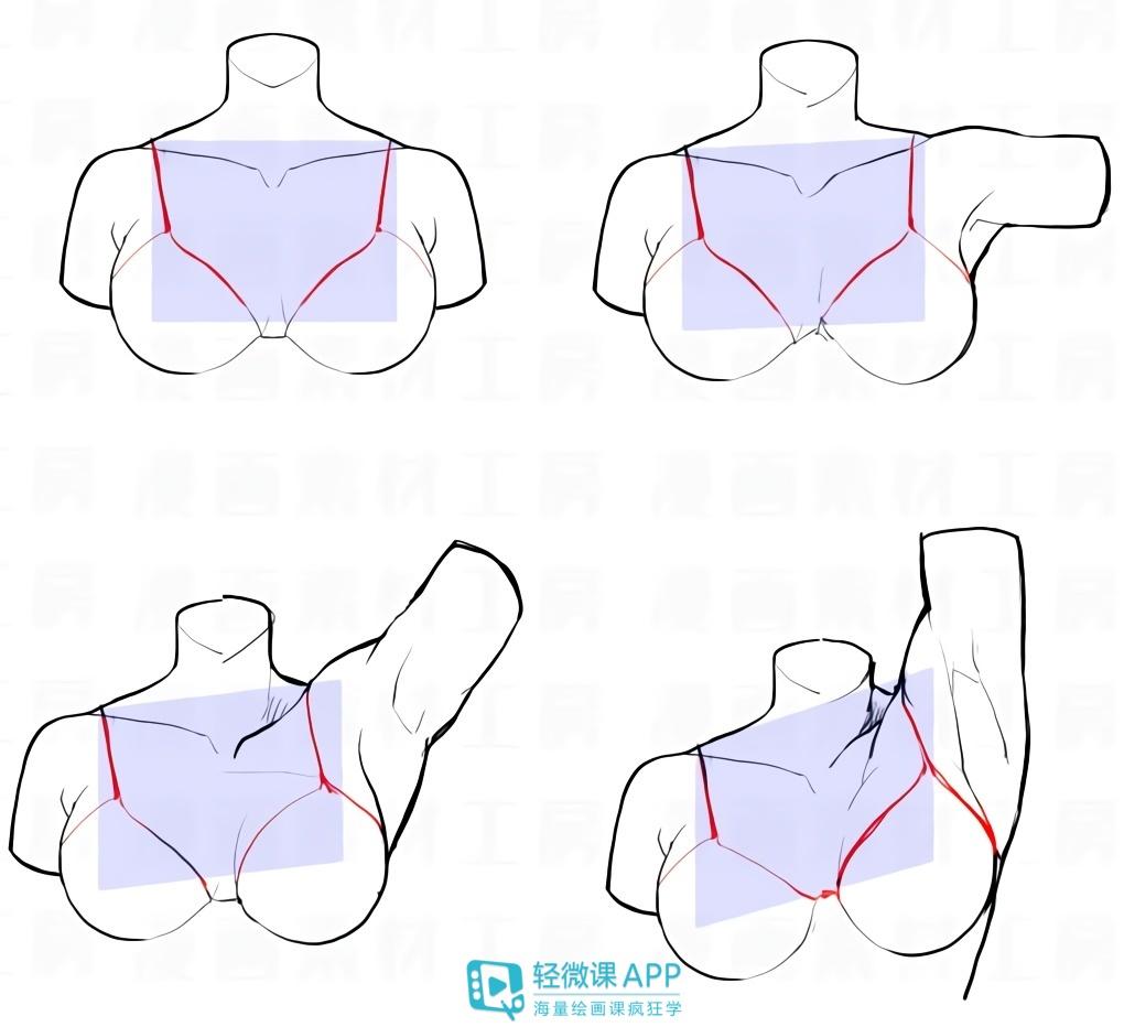 怎么各角度画好一个女生的胸部