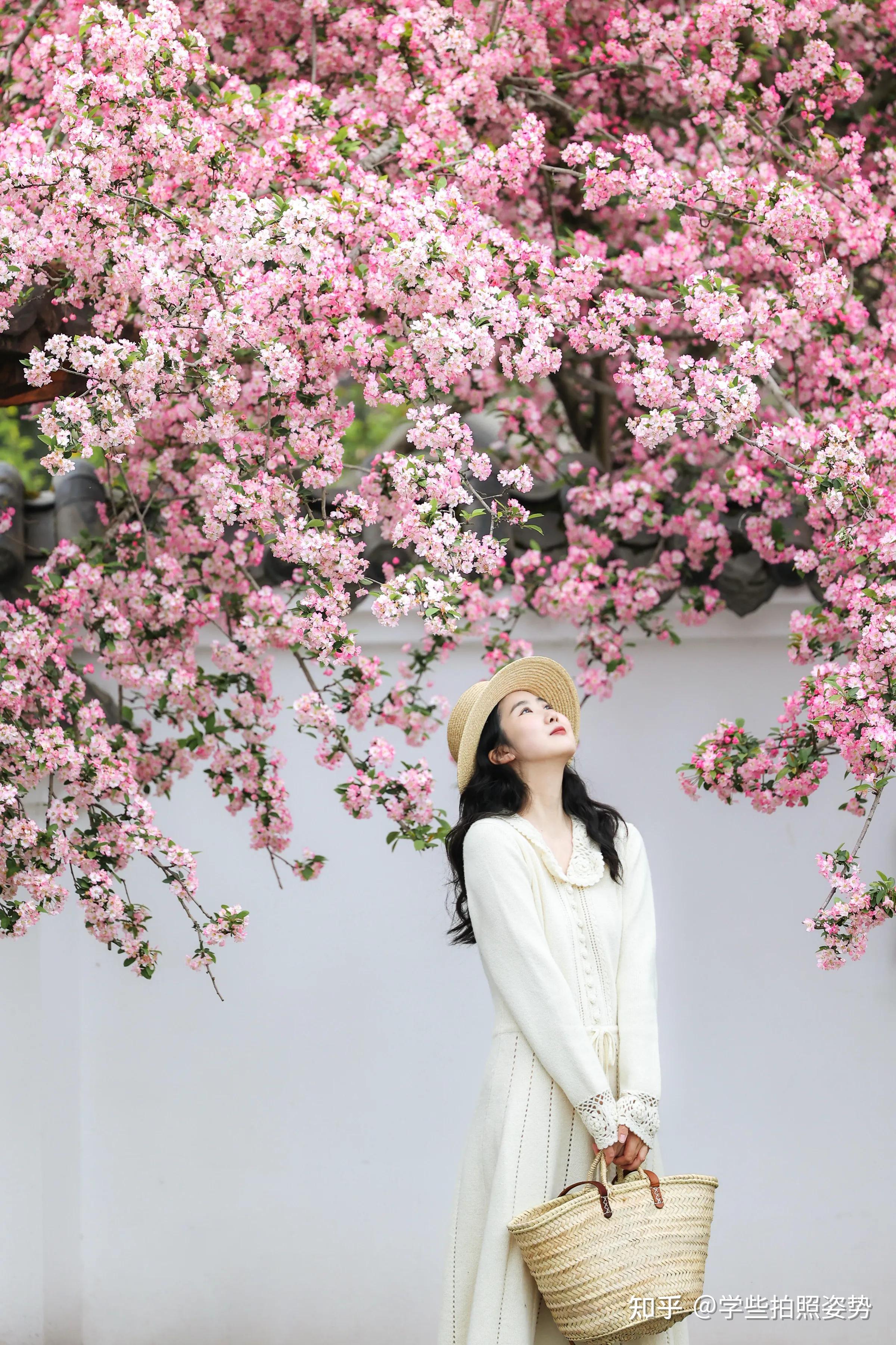 海棠花海拍美照,8个拍法,人比花娇,文艺唯美,随手拍出氛围感 - 知乎