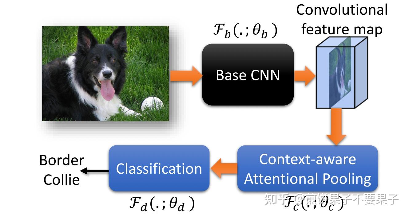 【多区域 Attention - 细粒度视觉分类】Context-aware Attentional Pooling for Fine ...
