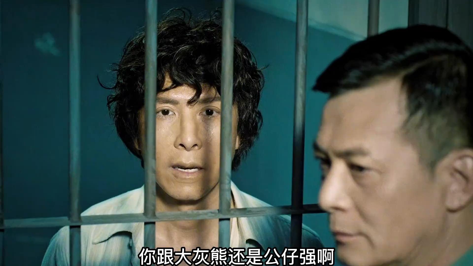 刘德华与甄子丹联合上演的经典港片,真是让人百看不厌