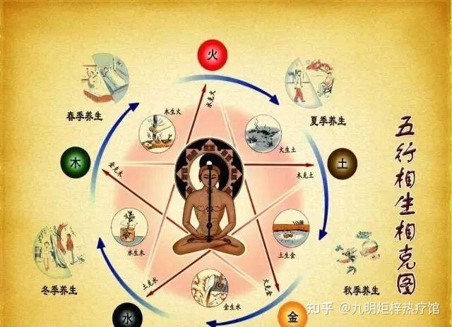 中医五行养生法，调和五脏平衡！ - 知乎