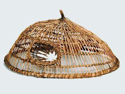 《套鸟》 - 知乎