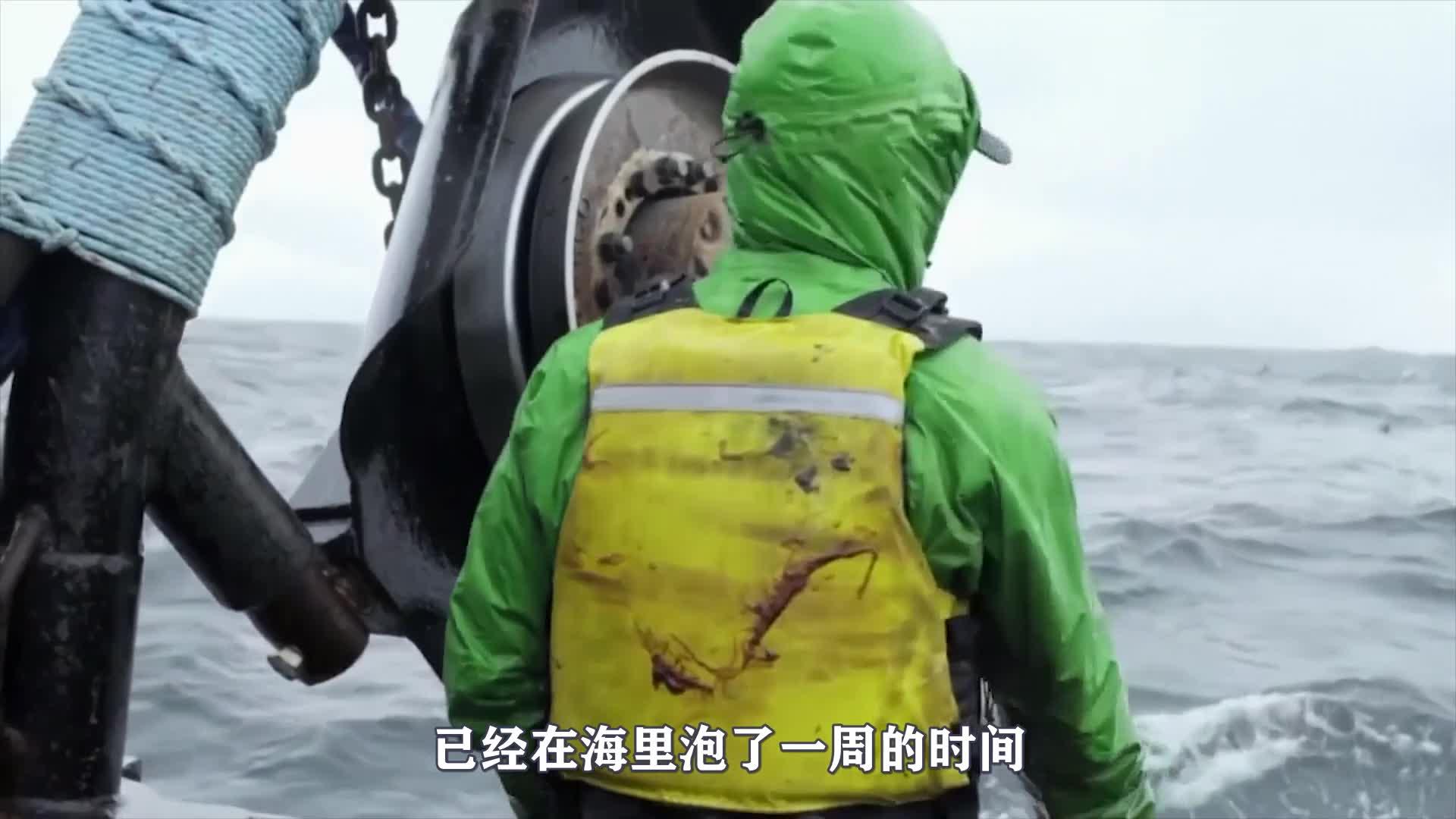 渔人的搏斗第19集