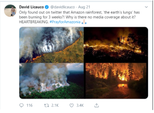 如何看待地球之肺亚马逊雨林大火?