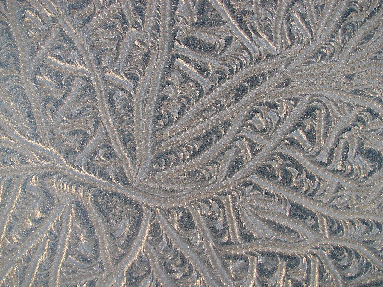 4. 冰袋携带指南