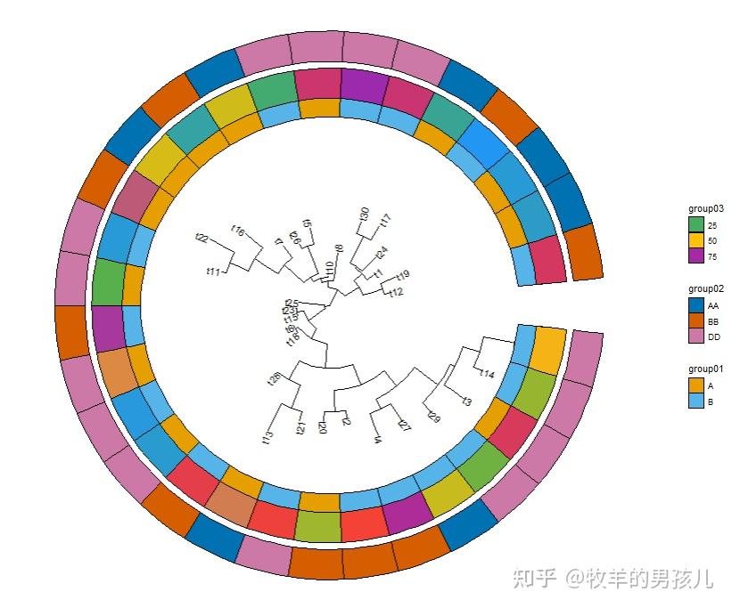 R语言ggtreeExtra给环形进化树添加热图注释 - 知乎