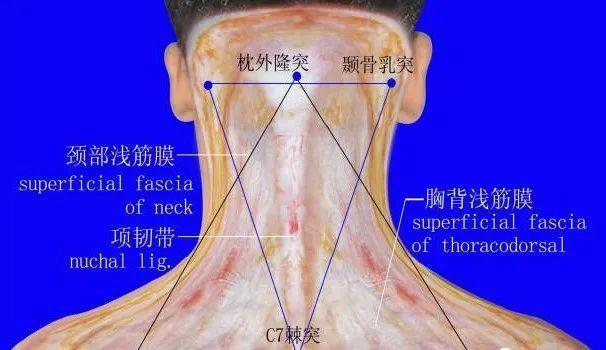 人体九大“黄金三角区”:治病与致病,只在一念间 - 知乎