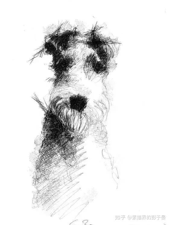 一组素描动物作品欣赏 - 知乎