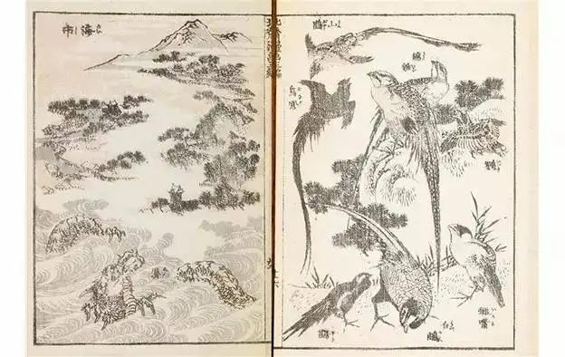 浅析宋代的“鸟兽草木之学” - 知乎