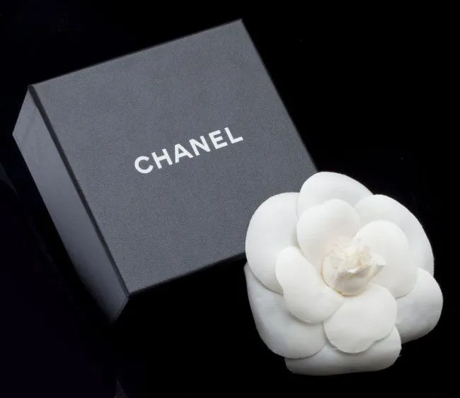 服装史上经典的服装设计或经典设计细节有哪些