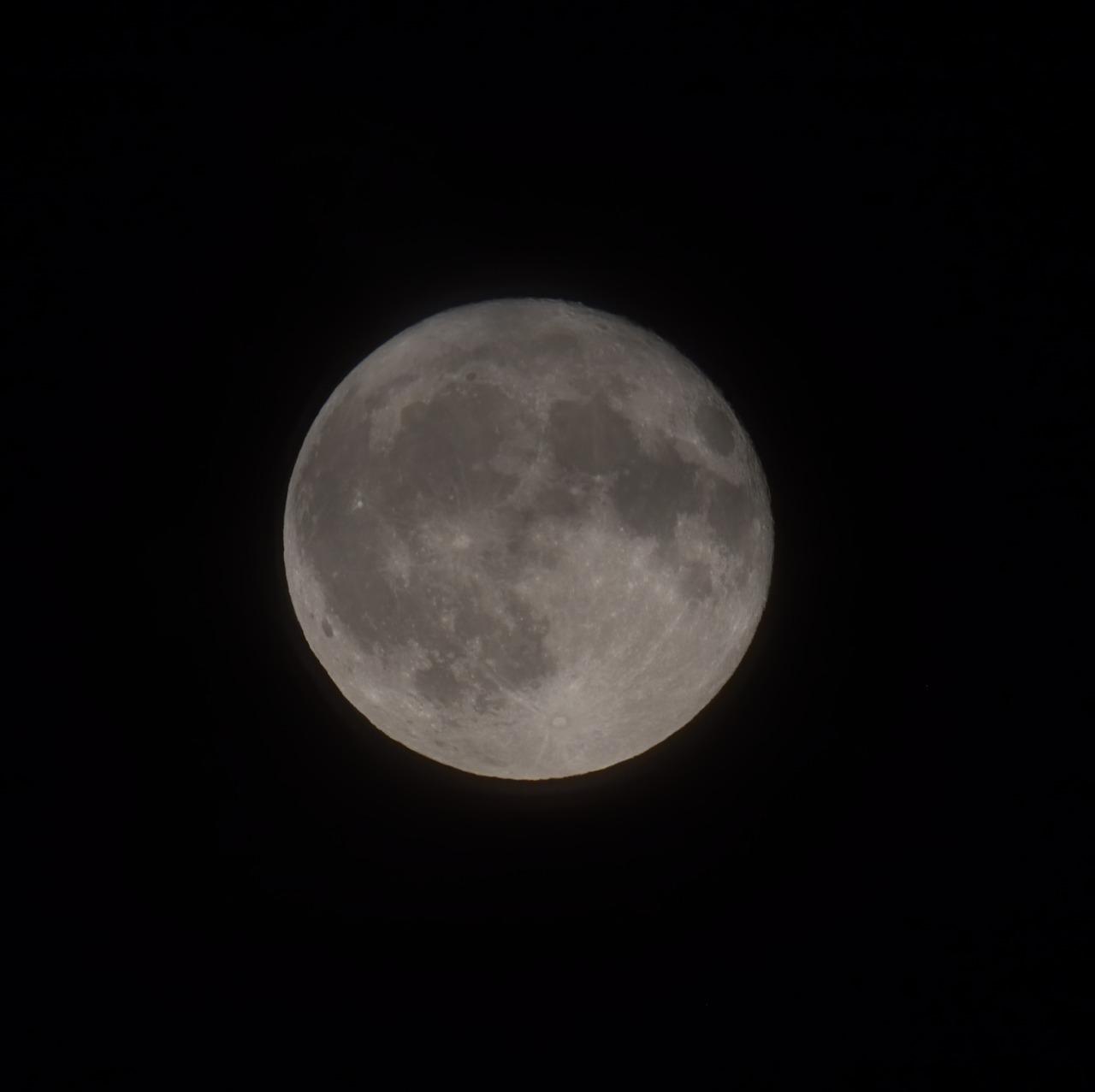 拜年祝福传心意，