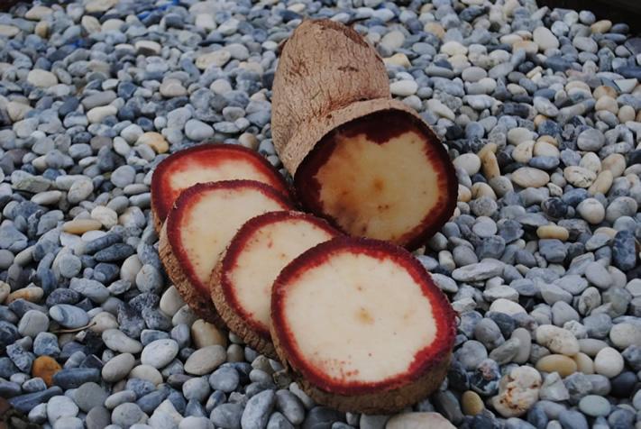 艳紫铆的正确使用方法