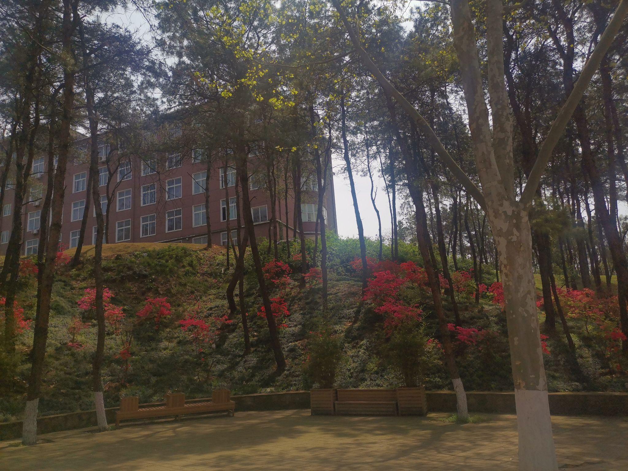 信阳学院真的不好吗