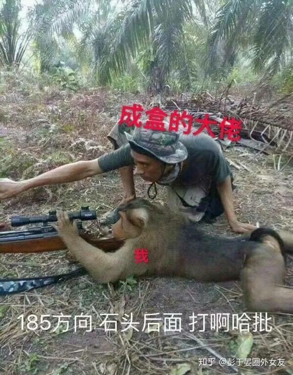 请问大家有没有猴子的表情包