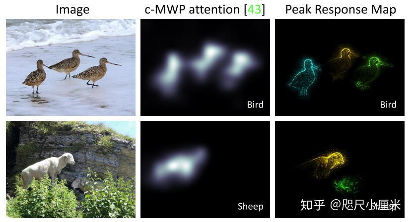 [论文笔记] PRM：Peak Response Maps - 知乎