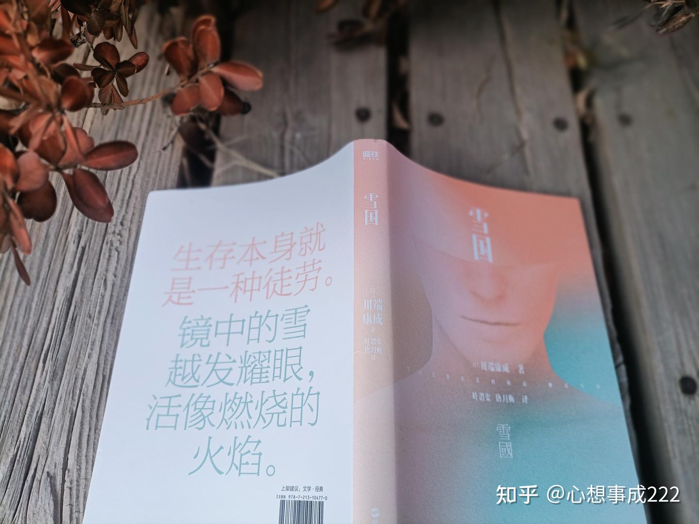 读《雪国》,犹如雪花飘落在心田 - 知乎