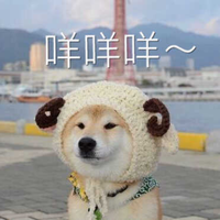Zhihu profile picture for @neur