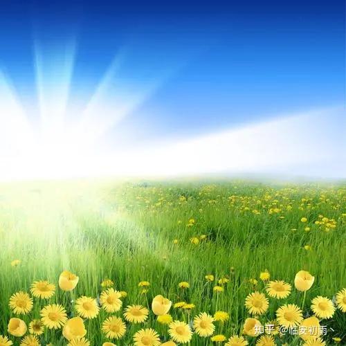 在面对困难时积极向上乐观开朗的文案推荐