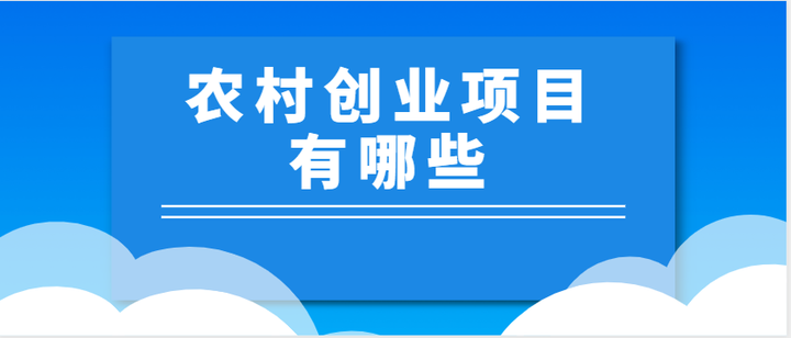 农村致富小创业项目有哪些(农村致富小创业项目有哪些内容)