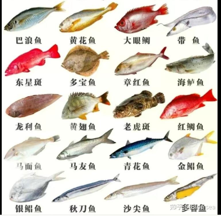 深海鱼类的营养价值如何? - 知乎