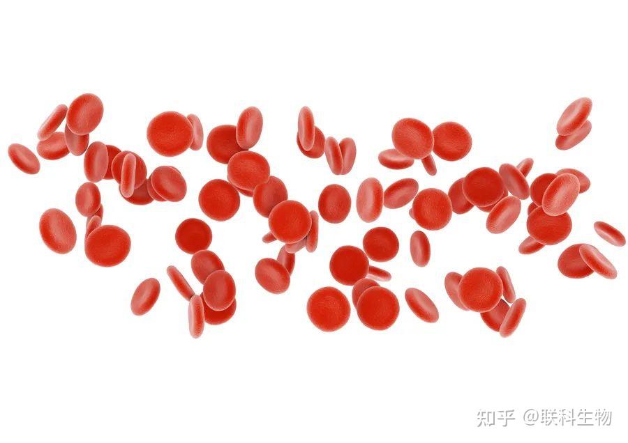 ELISA通关必备丨样本篇丨常见样本丨血清血浆 - 知乎