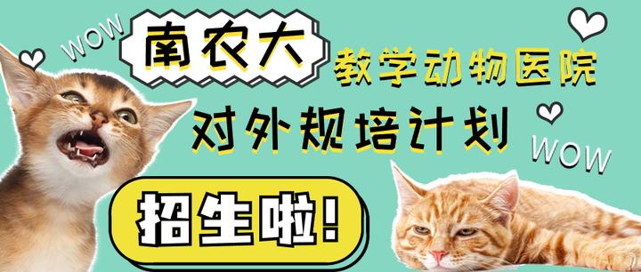 南京农业大学教学动物医院规培——开启兽医梦想的新起点 - 知乎