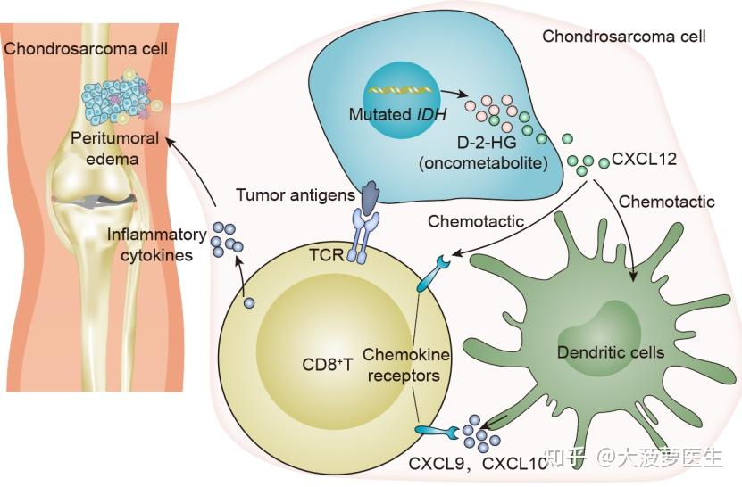 患了肉瘤有什么方法可以治好