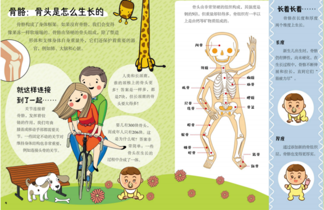 知乎新书｜孩子 5 岁后必读的第一本书，培养孩子好奇心、责任心、学习习惯 - 知乎