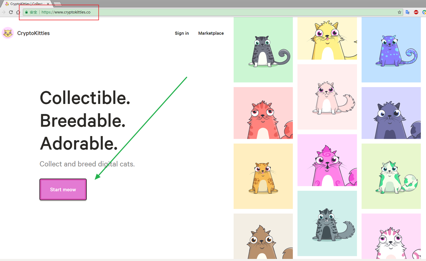 风靡全球的加密猫教程来了！ - 知乎