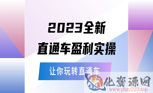 《2023全新直通车盈利实操》从底层策略到搭建，让你玩转直通车_wwz