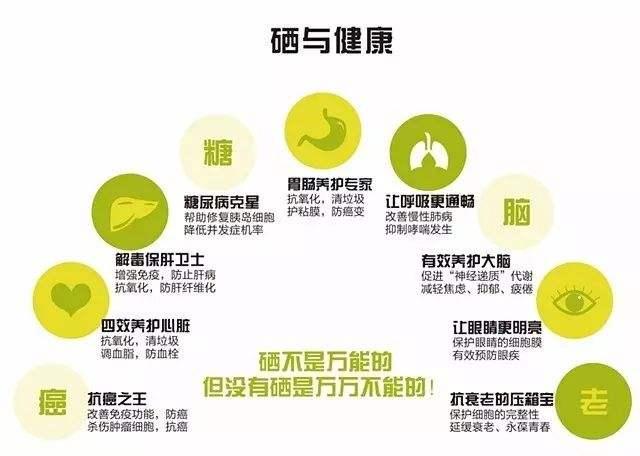 常见的植物硒主要有哪些？ - 知乎