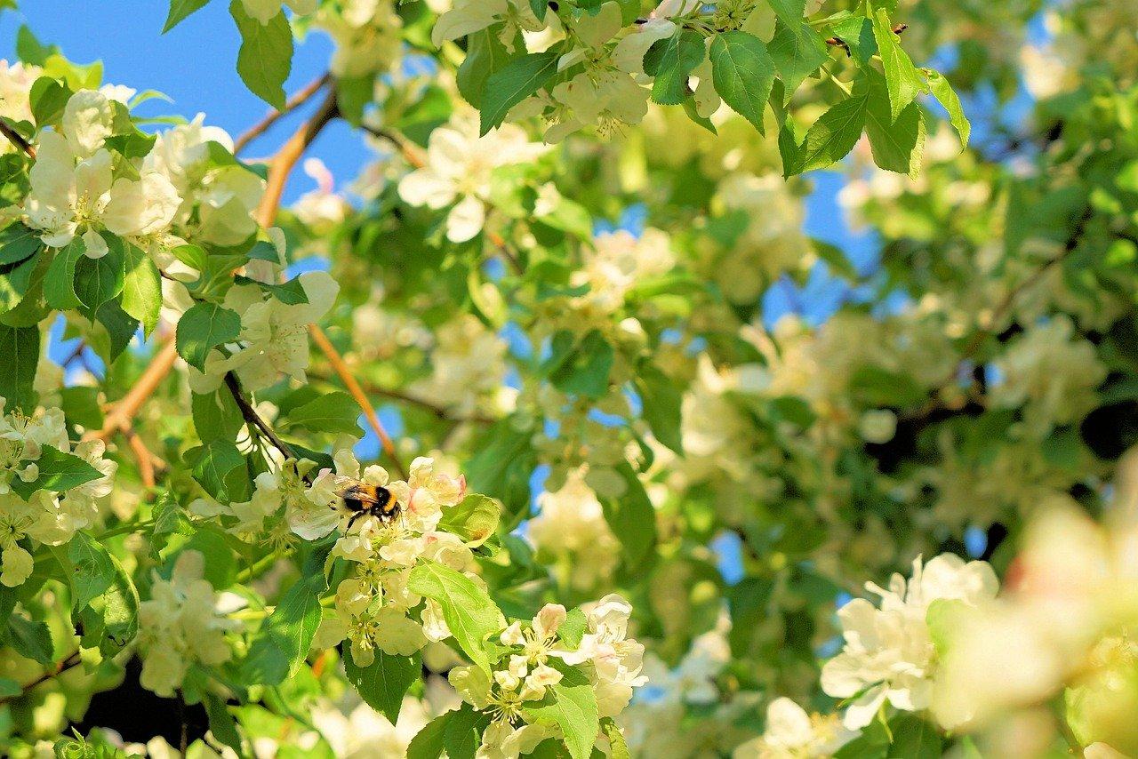 4. 芭蕉路交通配套