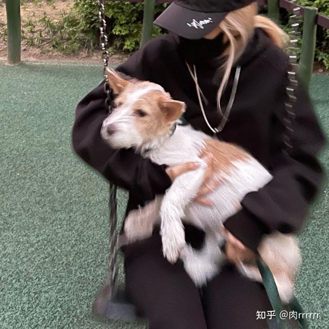 rosé朴彩英的狗狗hank究竟是什么品种的