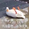 渐渐融化的飘雪