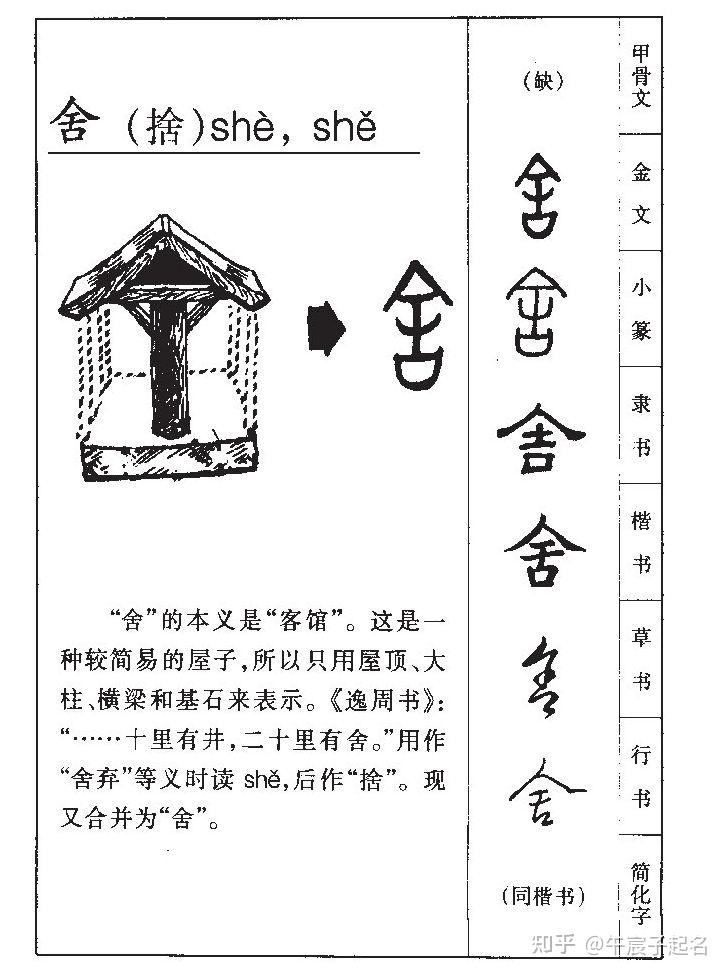 午宸子谈舒字到底是木属性还是金属性? - 知乎
