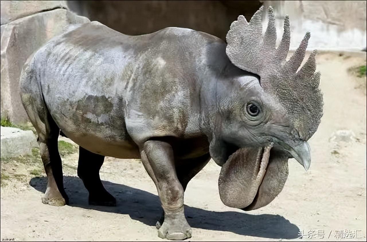 2020年哪些新物种被发现? - 知乎