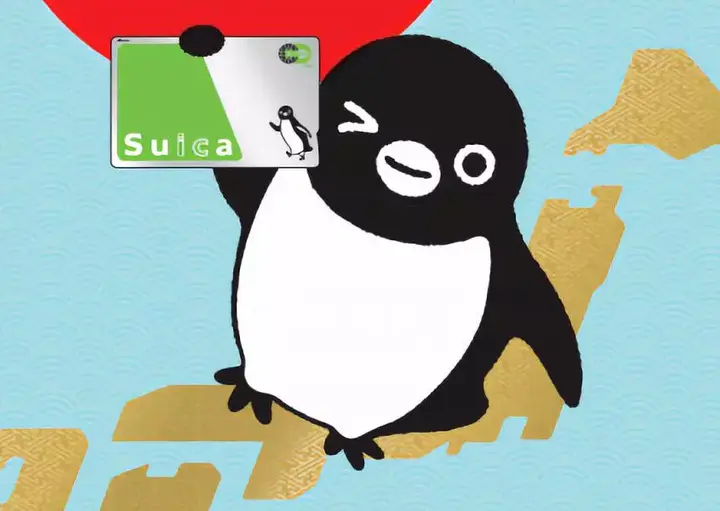 Suica 知乎