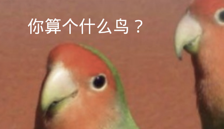 你算个什么鸟？AI十级“找茬”选手诞生 - 知乎