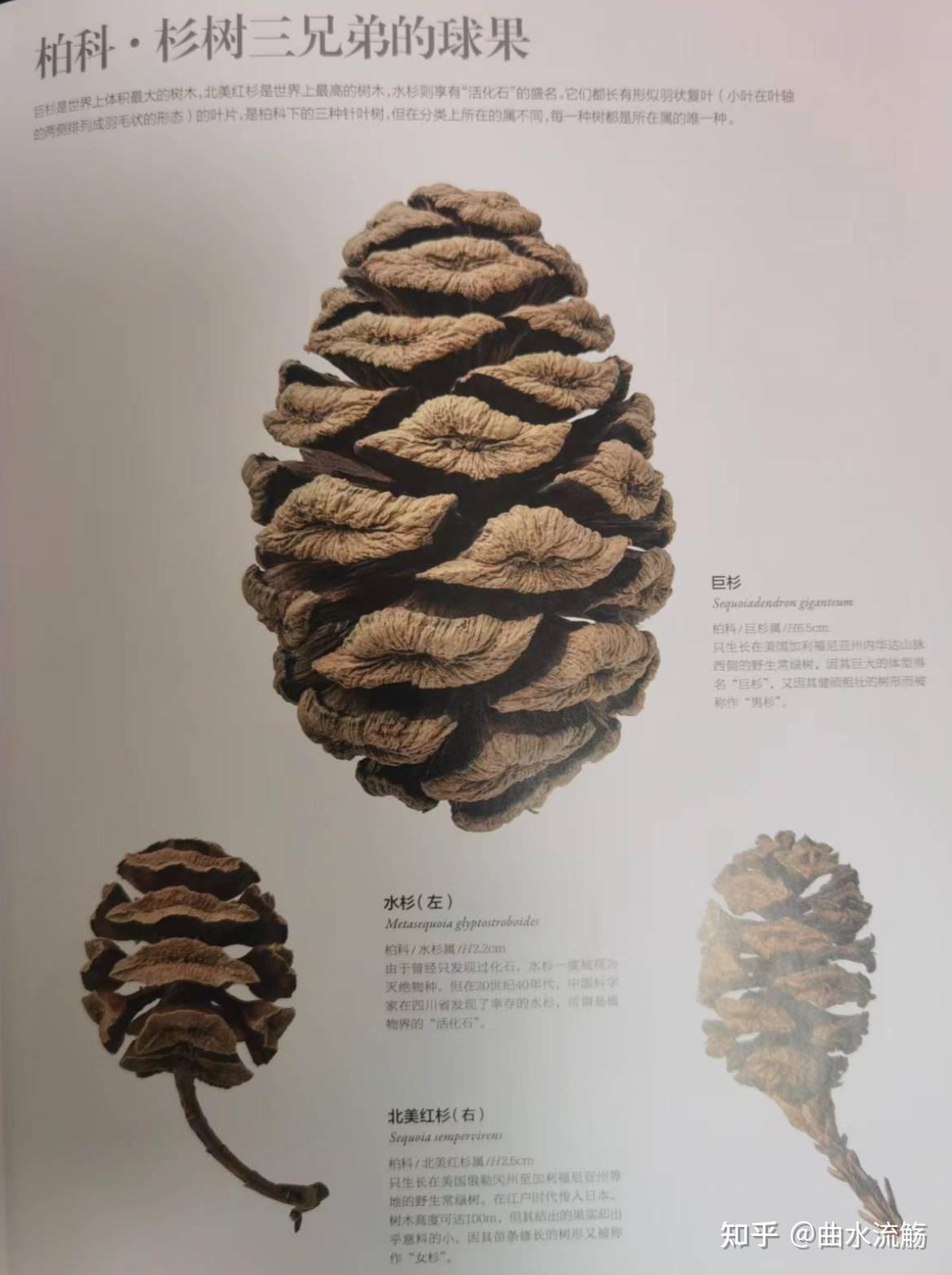 有什么好看的、有趣一点的书推荐? - 知乎