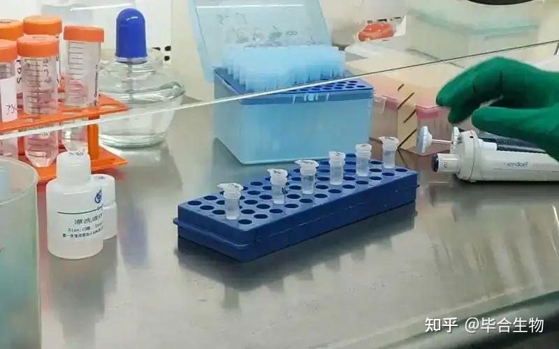 RNA提取大揭秘:方法、优缺点、注意事项全在这啦!🧬 - 知乎