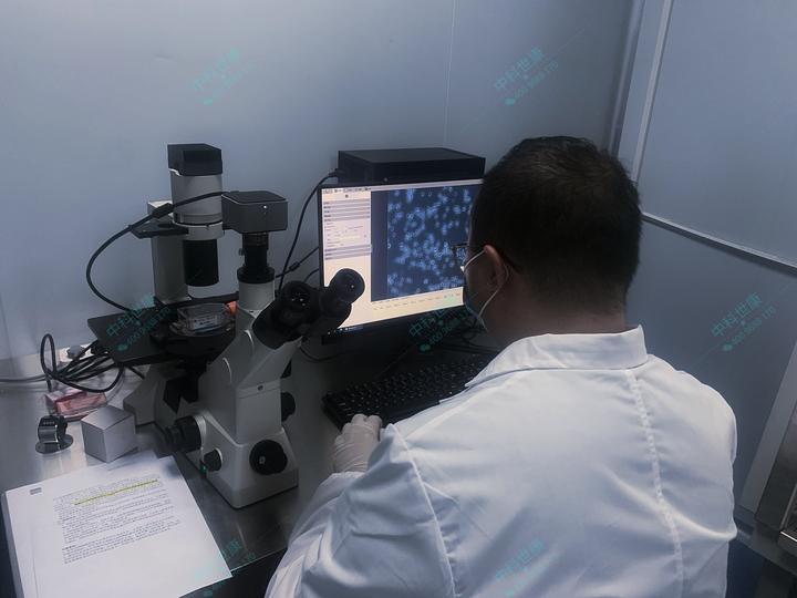 细胞凋亡实验步骤及注意事项 - 知乎