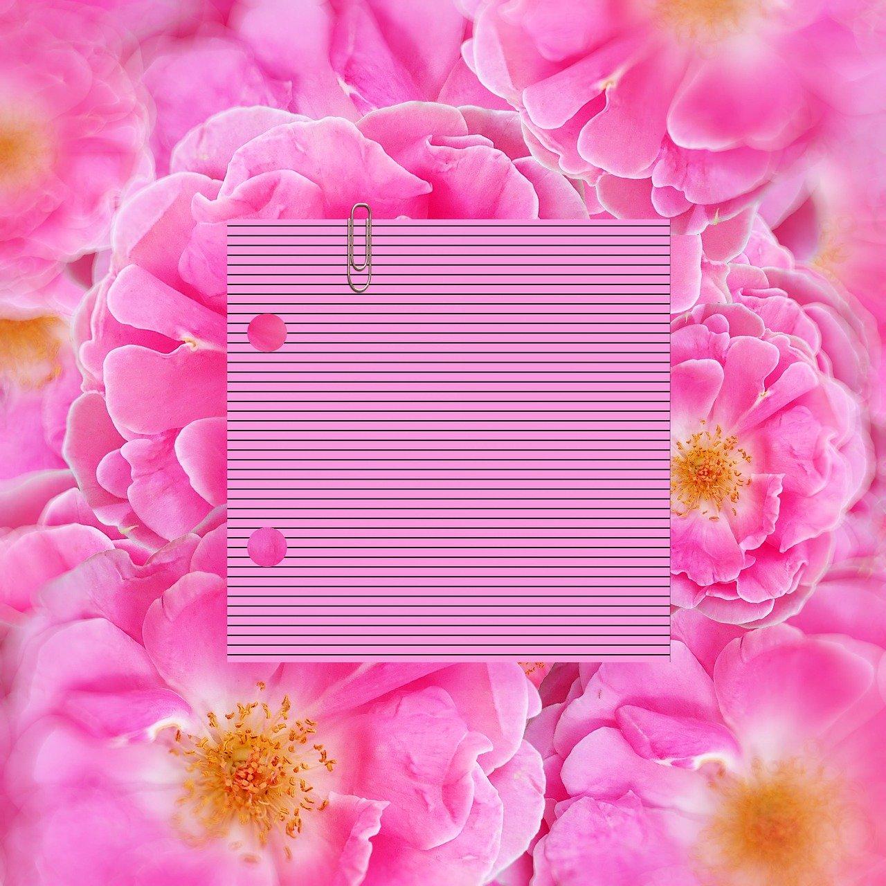 甜蜜的味道之旅